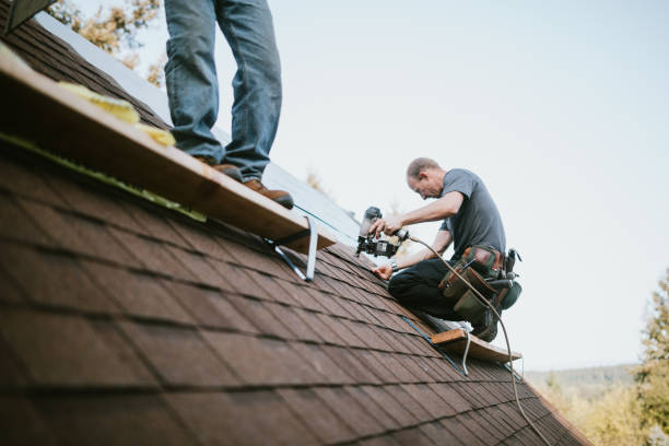 Best Storm Damage Roof Repair  in USA